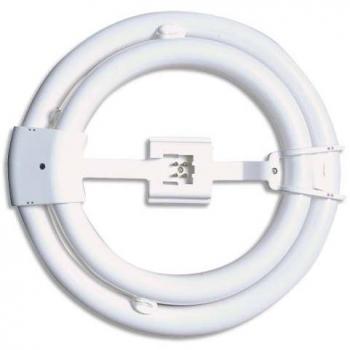 Tube fluo Circline Variaglass 65 w G10Q