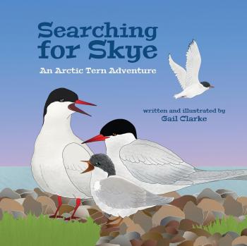 Clarke, Gail: Searching for Skye