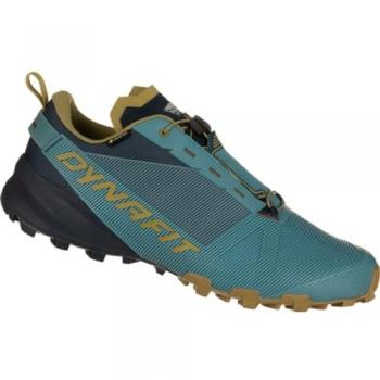 DYNAFIT Herren Speedhikingschuhe Traverse GTX M blau | 45