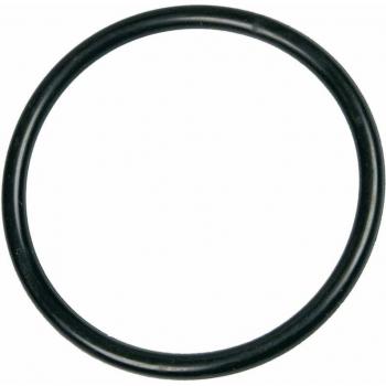 O-Ring für Wassertasche