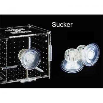 Fish Fry Hatching Isolation Box