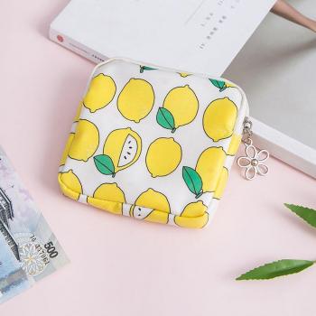 Waterproof PVC Menstrual Pad Pocket – Zip, Coin, Earphone, Key Holder