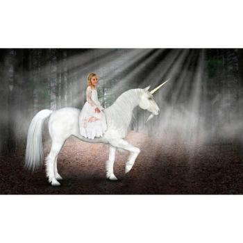 Einhorn Hoffnung Fototapete
