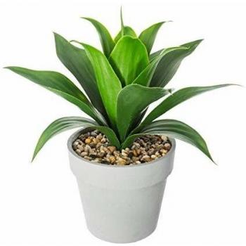 Aloe vera artificiale H34cm Atmosphera