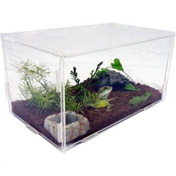 Small Breeding Lizard Terrarium