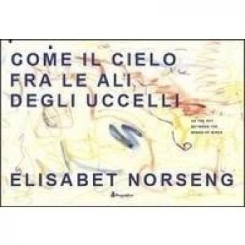 Come il cielo fra le ali degli uccelli