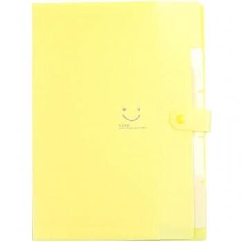5-Section A4 Document Holder