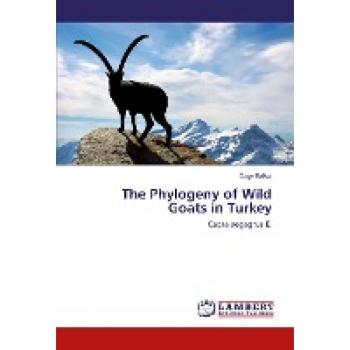 The Phylogeny of Wild Goats in Turkey