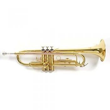 Roy Benson TR101 B-Trompete Lacquer