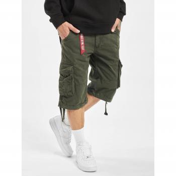 Alpha Industries Jet Bermudas Grau