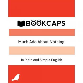 Much ado about nothing in plain and simple english