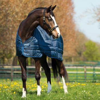 Horseware Liner 100 g System