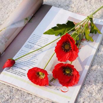 Artificial Silk Poppy