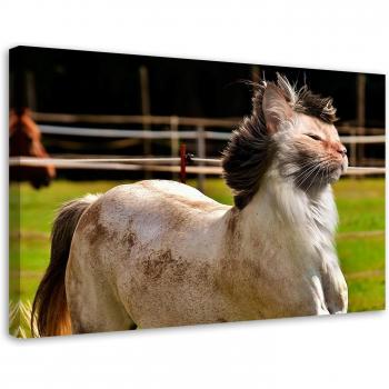 Cheval & Chat sur Toile – Format 60x40 cm, Tissu Beige