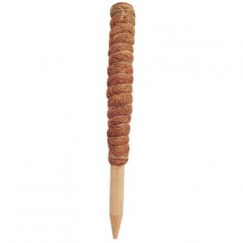 Creeper Support Stick for Indoor Plants
