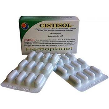 Cistisol 24‑Pack – 24‑Stück Kompresse