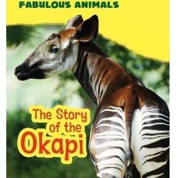 The Story of the Okapi