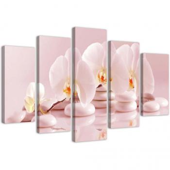 Pink Flower Orchid Canvas Collection – 5 Images
