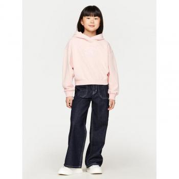 Tommy Hilfiger Relaxed Fit Hoodie