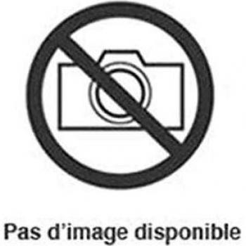 Rouleau de papier Epson 80 g/m²