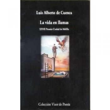 La vida en llamas (Tapa blanda con solapas).