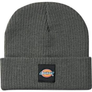 Cappello Evadale Beanie Dickies Grigio