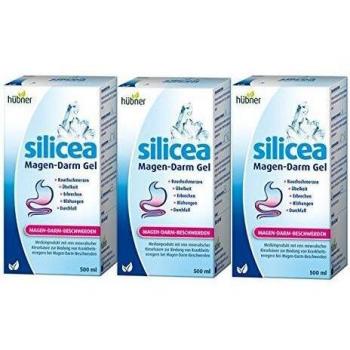 Hübner Silicea Magen-Darm Tropfen