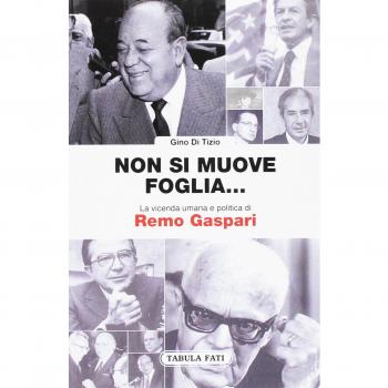 Non si muove una foglia... La vicenda umana e politica di Remo Gaspari