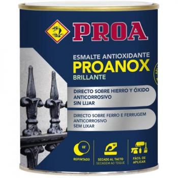 Esmalte antioxidante directo sobre óxido brillante verde botella RAL 6005 4 L proanox