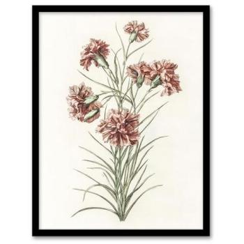 Artery8 Vintage “Six Carnations” – A4 Framed Wall Decor, White