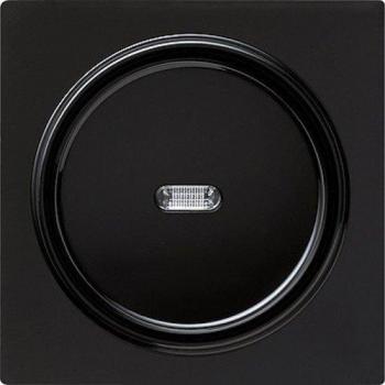 Gira Wippe Kontroll. sw 029047