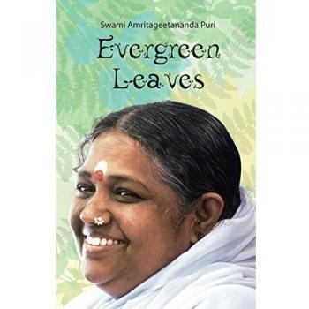 Evergreen Leaves