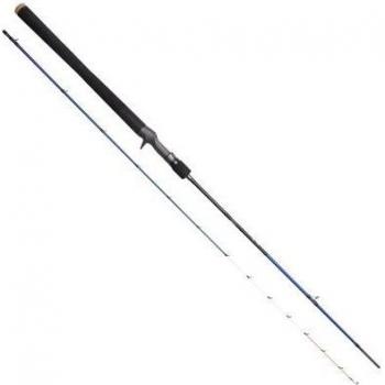 Canne à pêche Baitcaster 2,03 m 100 g pour maquereau et thon