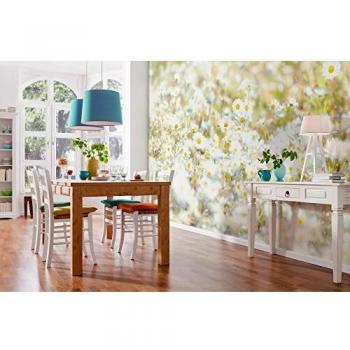 Papier Peint Panoramique Marguerites Jaune, Blanc Et Vert 368x254 cm (Sanders & Sanders)