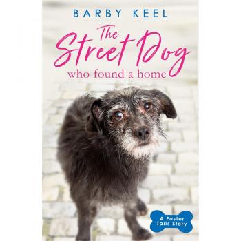 The Street Dog Who Found a Home