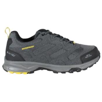 Chaussures de Montagne Sensibles Basses WP Homme Charbon/Grey Froid