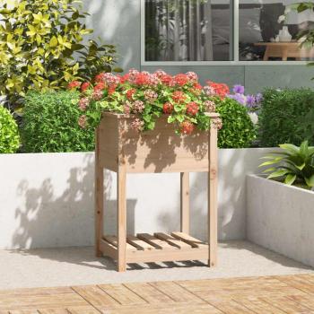 Madera Viva: Estante y Jardinera de Pino
