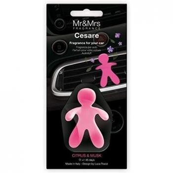 Citrus & Musk Car Aroma by Mr & Mrs Fragrance