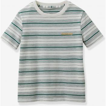 Boys' Green Striped Tee in Organic Cotton by CYRILLUS 3/4Y