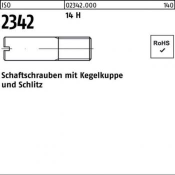 Stahlschraube M12 (ISO 2342) – 14 h – Kegelkappe & Schlitz – 25 mm Länge
