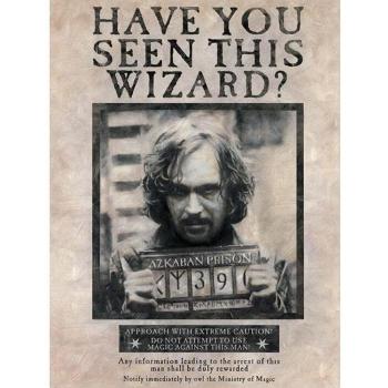 Poster di Harry Potter Cercasi Stampa su tela nera di Sirius