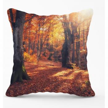 Warren Reed Autumn Forest Outdoor Pillow