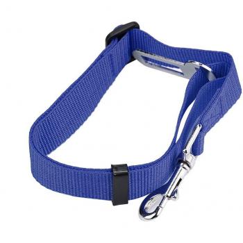 RescateSeguro Para Perros y Gatos