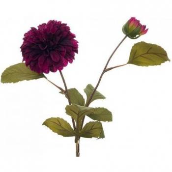 Blooming Dahlia Hill Interni