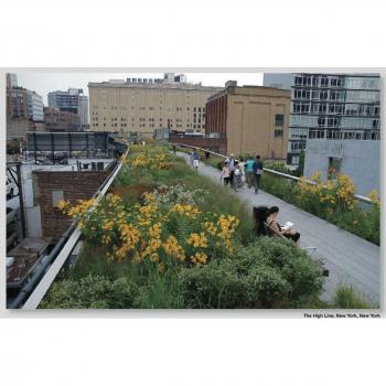 Piet Oudolf : Landscapes In Landscapes