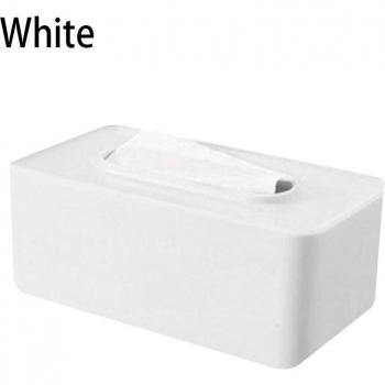 Paper Towel Dispenser
