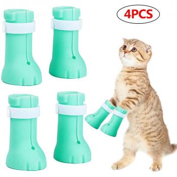 Cat Paw Protector Shoes