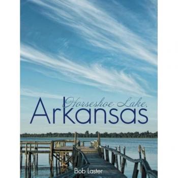 Horseshoe Lake Arkansas by Bob Laster