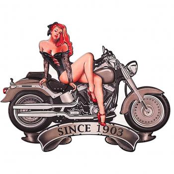 American Dream 1903 Motorbike Vintage Metal Poster