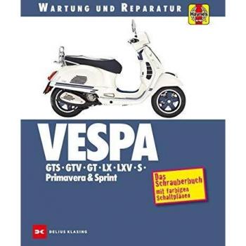 Vespa GTS, GTV, GT, LX, LXV, S, Primavera & Sprint: Wartung und Reparatur